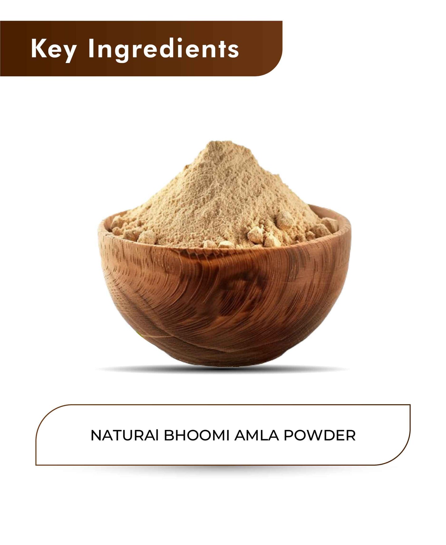 H&C Natural Bhoomi Amla Powder - 100gm - HNW GLOBAL