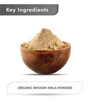 Just Jaivik Organic Bhoomi Amla Powder - 100gm - HNW GLOBAL