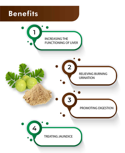 H&C Natural Bhoomi Amla Powder - 100gm - HNW GLOBAL