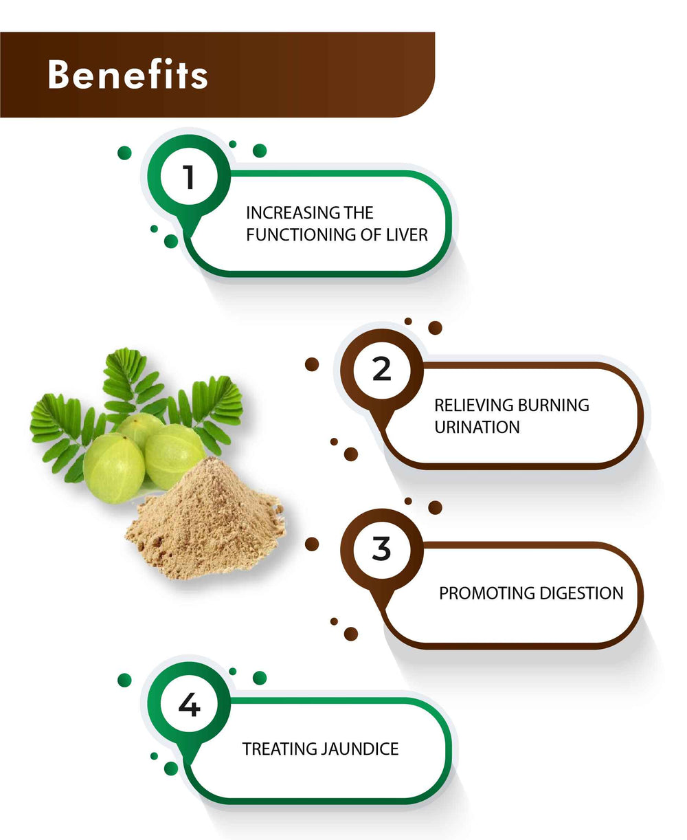 H&C Natural Bhoomi Amla Powder - 100gm - HNW GLOBAL
