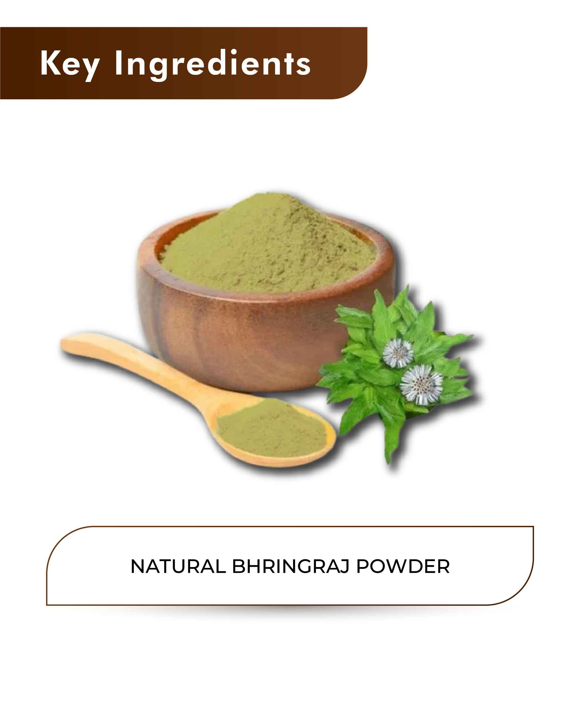 H&C Natural Bhringraj Powder - 100gm - HNW GLOBAL