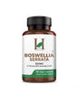 H&C Boswellia Serrata 500mg Capsules | High Strength 5:1 Extract (2500mg Equivalent) | 65% Standardised Boswellic Acid | 180 Veg. Capsules - HNW GLOBAL