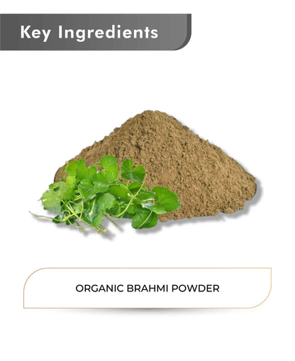 Just Jaivik Organic Brahmi Powder - 100gm - HNW GLOBAL