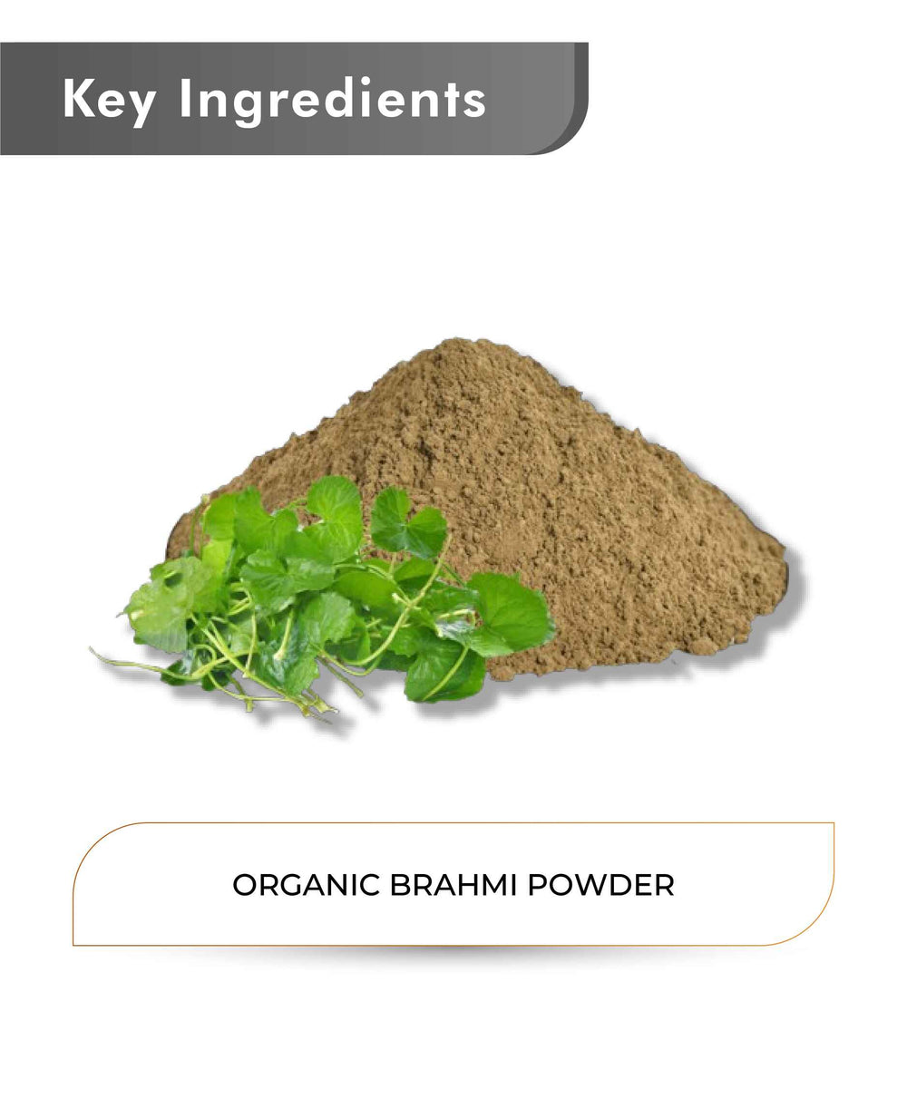 Just Jaivik Organic Brahmi Powder - 100gm - HNW GLOBAL