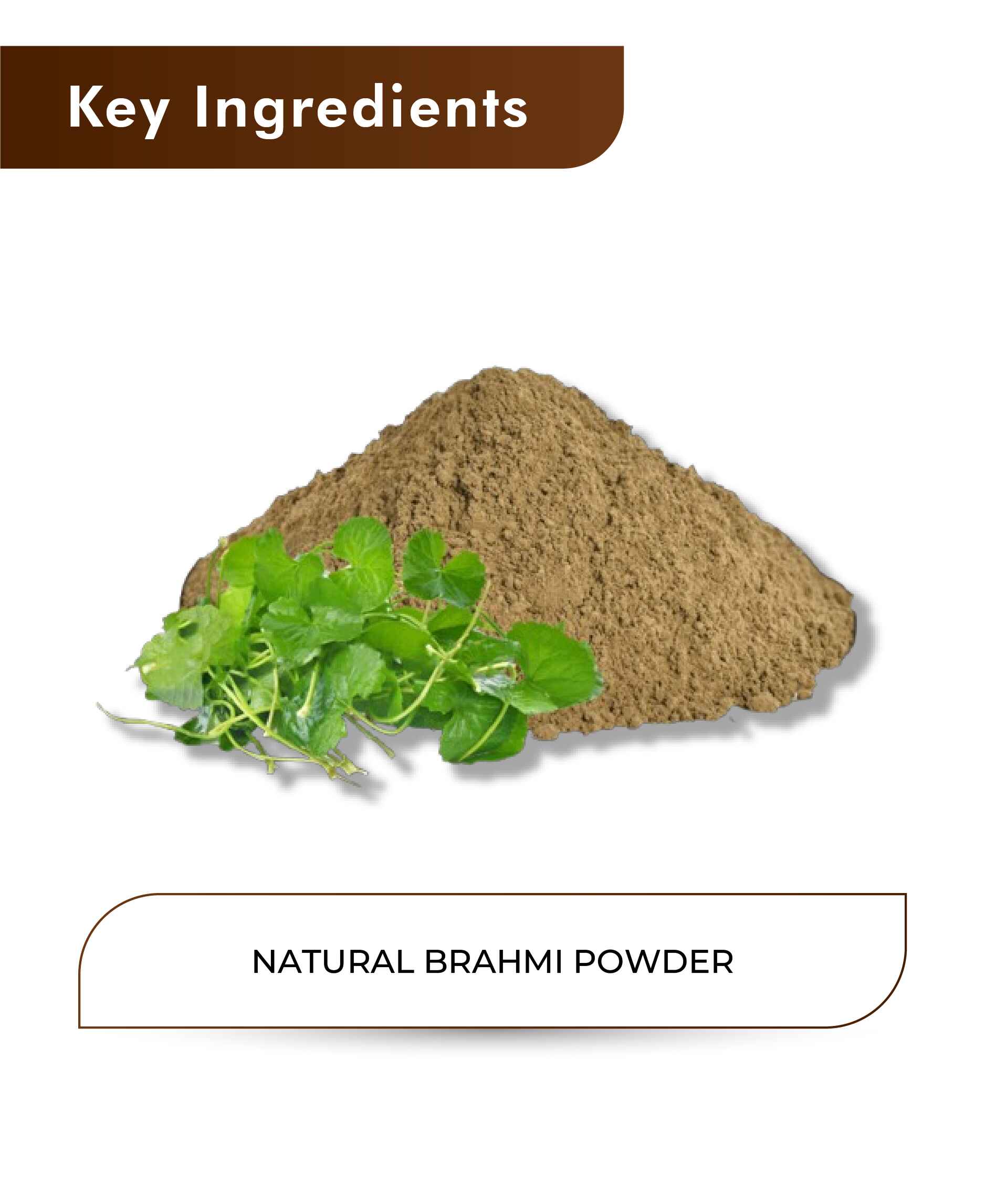 H&C Natural Brahmi Powder - 100gm - HNW GLOBAL