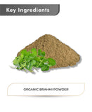 Just Jaivik Organic Brahmi Powder - 100gm - HNW GLOBAL