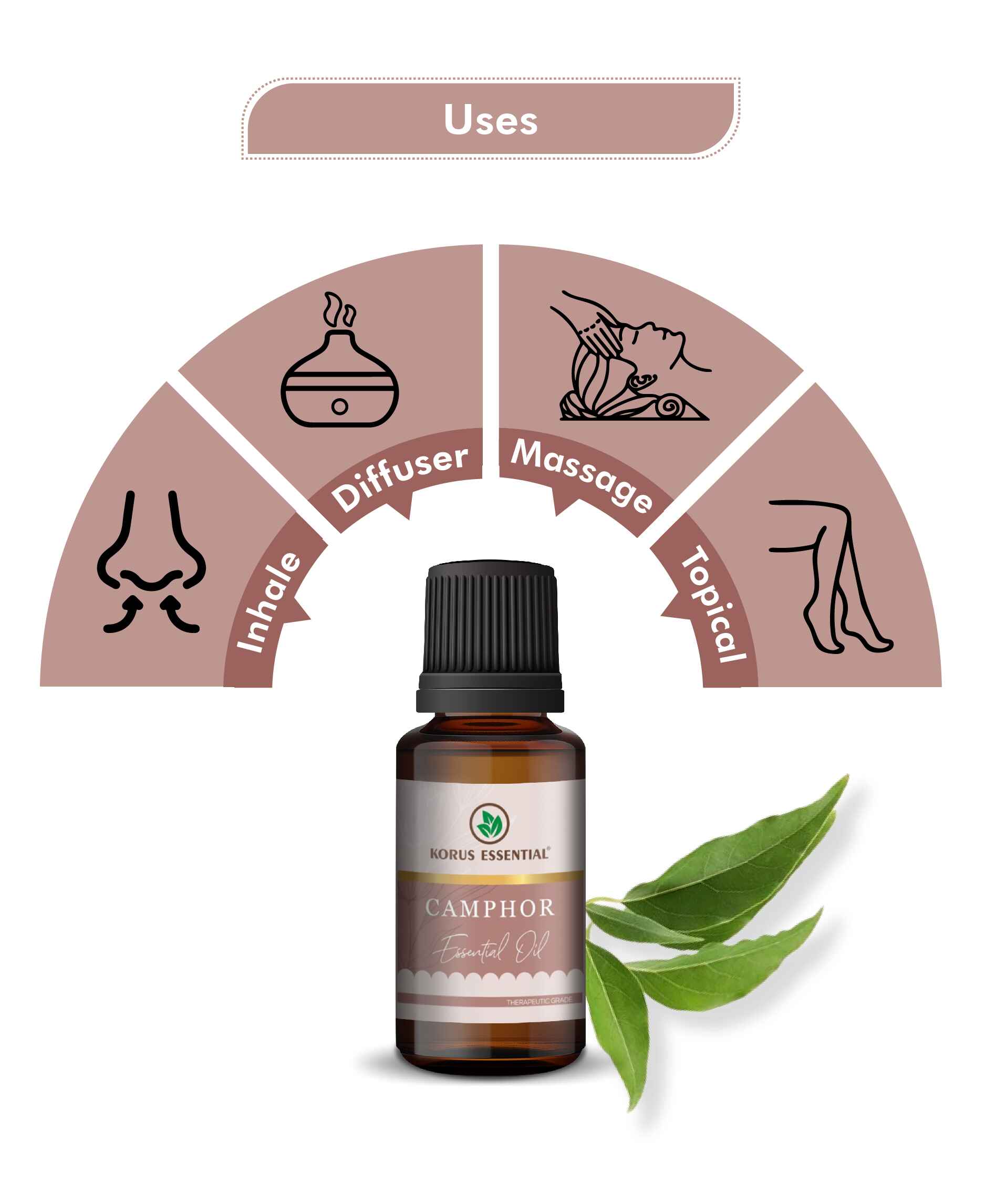 Korus Essential Camphor Essential Oil - 15ml - HNW GLOBAL