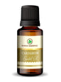 Cardamom Essential Oil - 15ml By Korus Essential