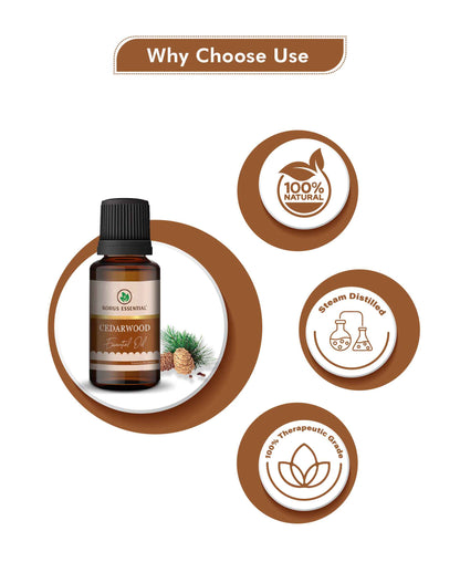 Korus Essential Cedarwood Essential Oil - 15ml - HNW GLOBAL