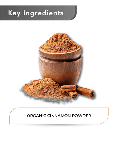 Just Jaivik Organic cinnamon Powder - 100gm - HNW GLOBAL