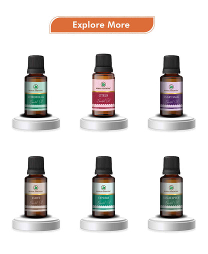 Korus Essential Cinnamon Essential Oil - 15ml - HNW GLOBAL