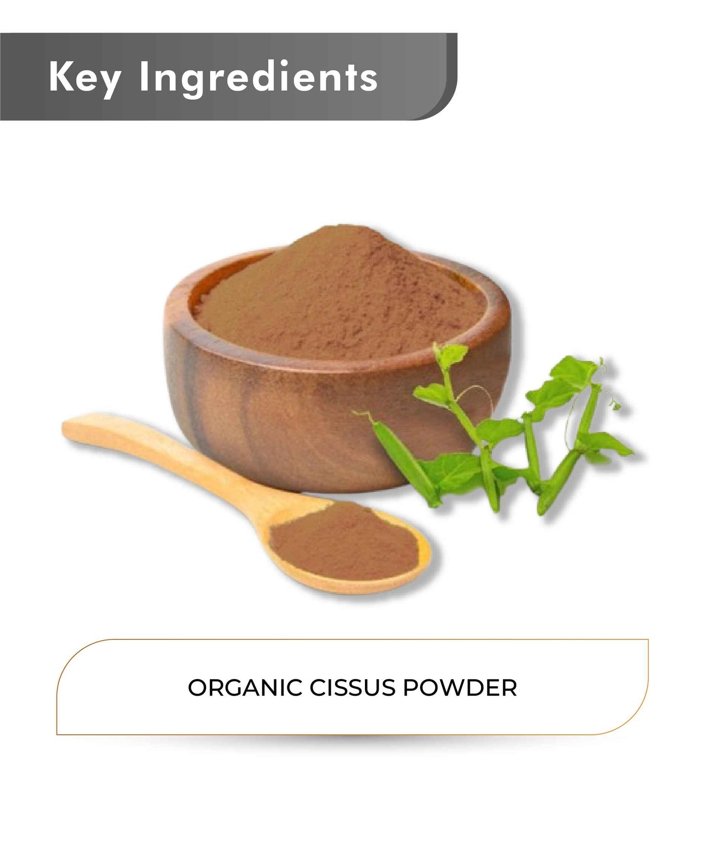 Just Jaivik Organic Cissus Powder - 100gm - HNW GLOBAL