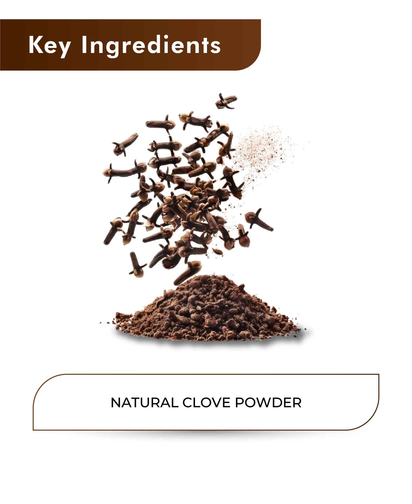 H&C Natural Clove Powder - 100gm - HNW GLOBAL