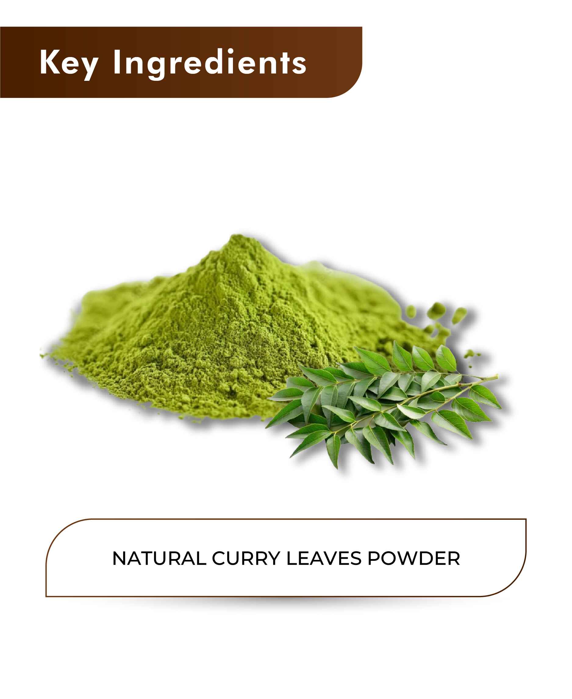 H&C Natural Curry Leaves Powder - 100gm - HNW GLOBAL