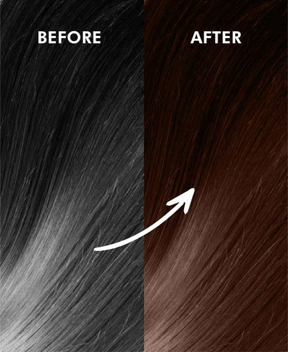 Korus Essential Herbal Hair Color (Dark Brown) - 100g | with Henna, Amla, Aritha, etc. - HNW GLOBAL