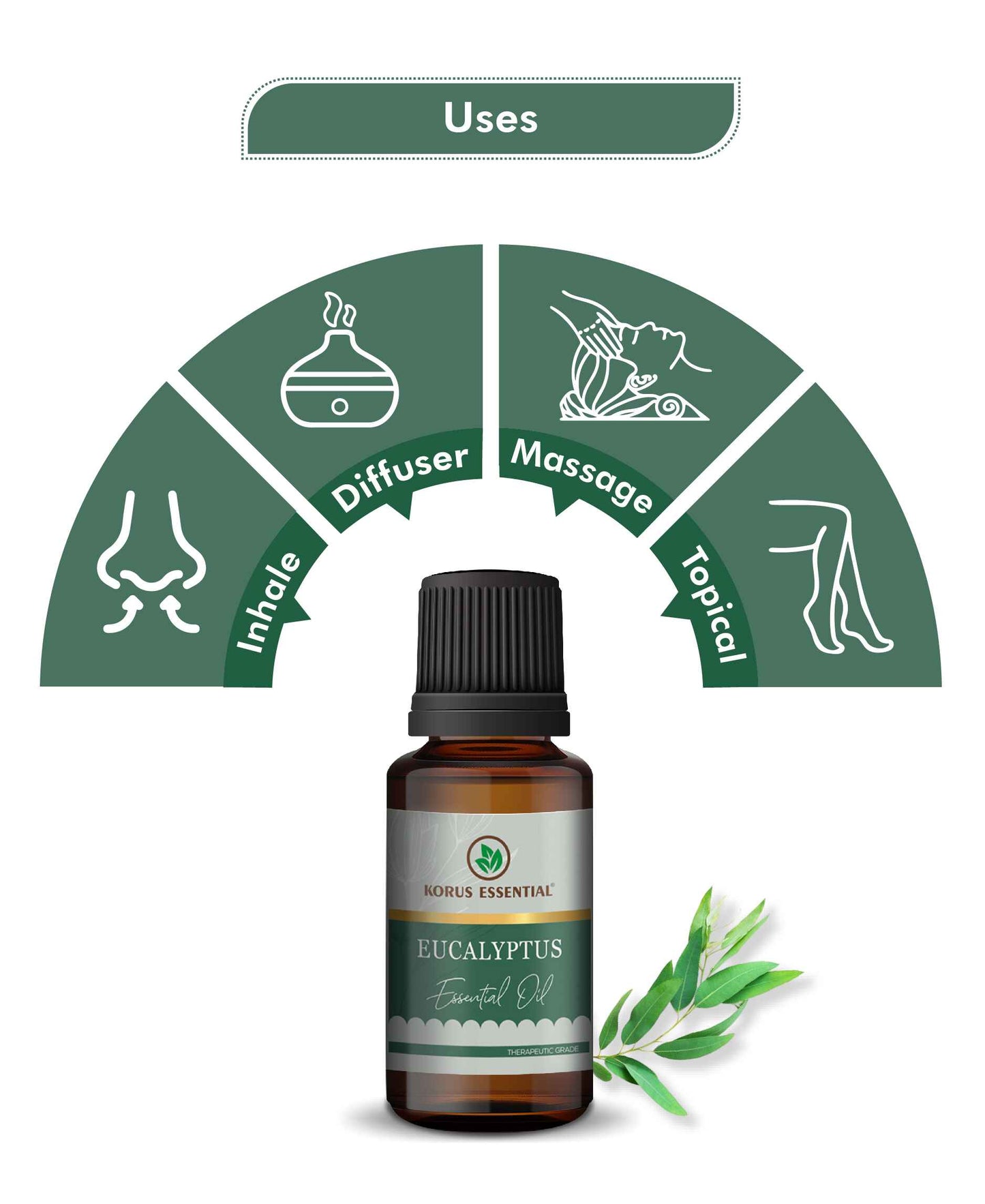 Korus Essential Eucalyptus (Nilgiri) Essential Oil - 15ml