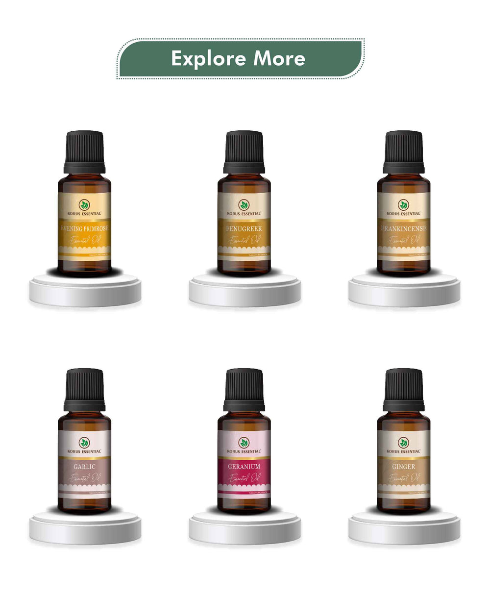 Korus Essential Eucalyptus (Nilgiri) Essential Oil - 15ml - HNW GLOBAL