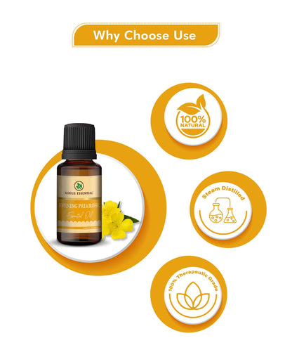 Korus Essential Evening Primerose Essential Oil - 15ml - HNW GLOBAL