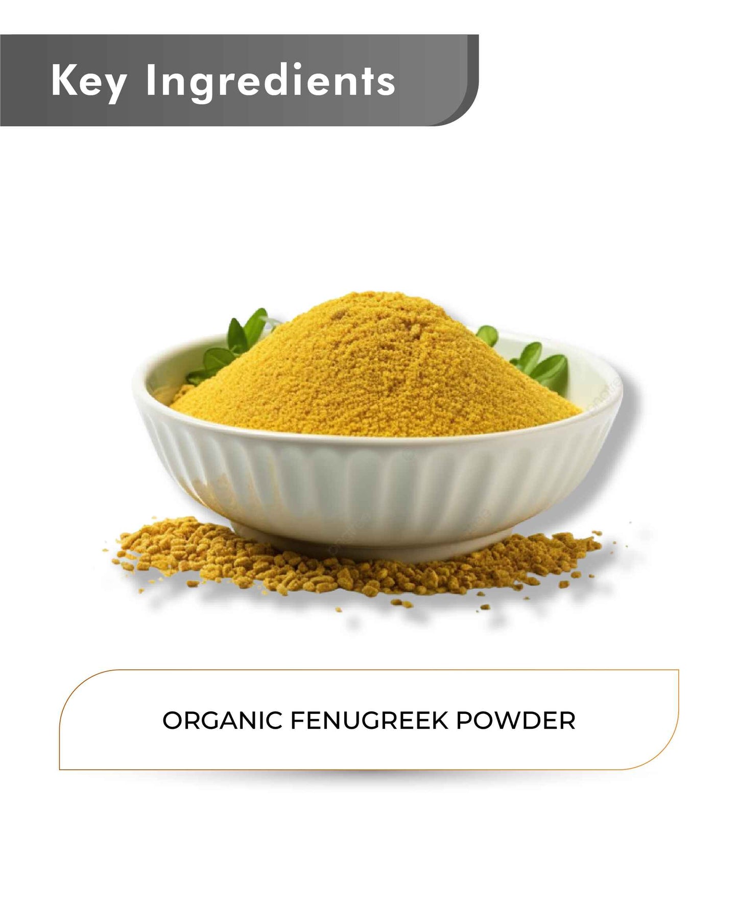 Just Jaivik Organic Fenugreek Powder - 100gm - HNW GLOBAL