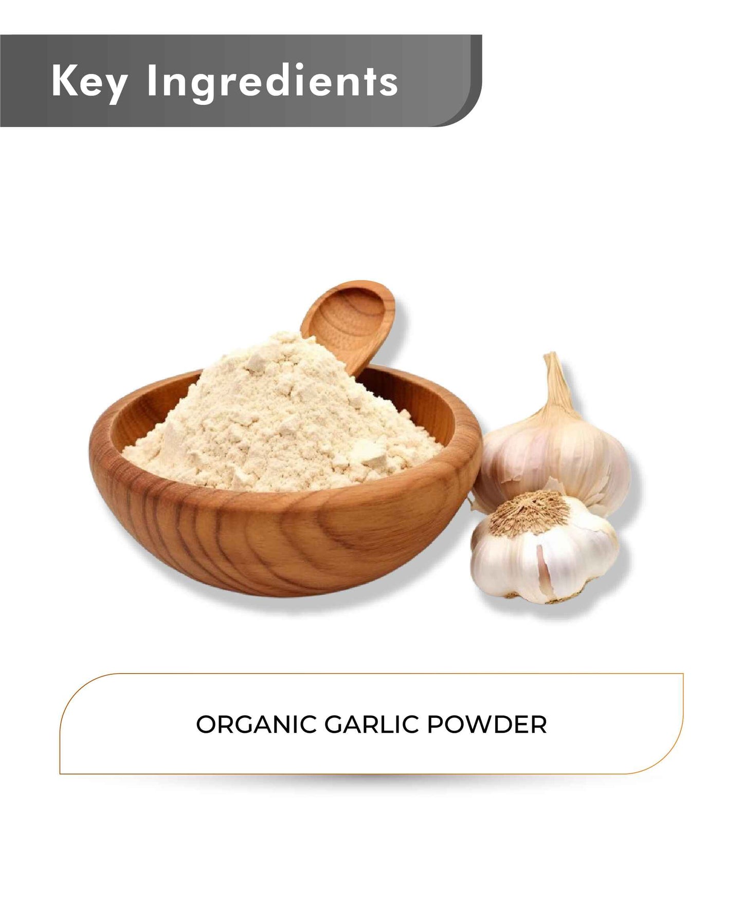 Just Jaivik Organic Garlic Powder - 100gm - HNW GLOBAL