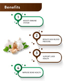 H&C Natural Garlic Powder - 100gm - HNW GLOBAL