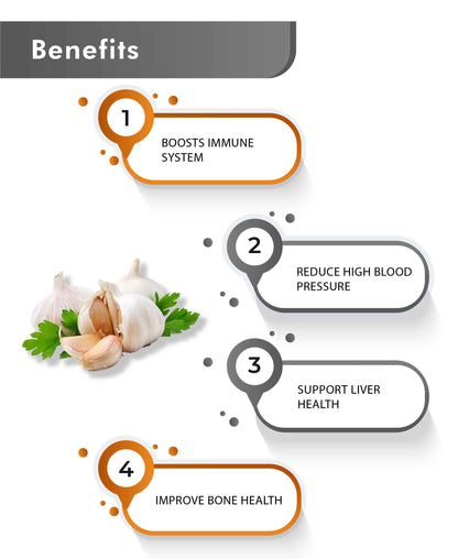 Just Jaivik Organic Garlic Powder - 100gm - HNW GLOBAL