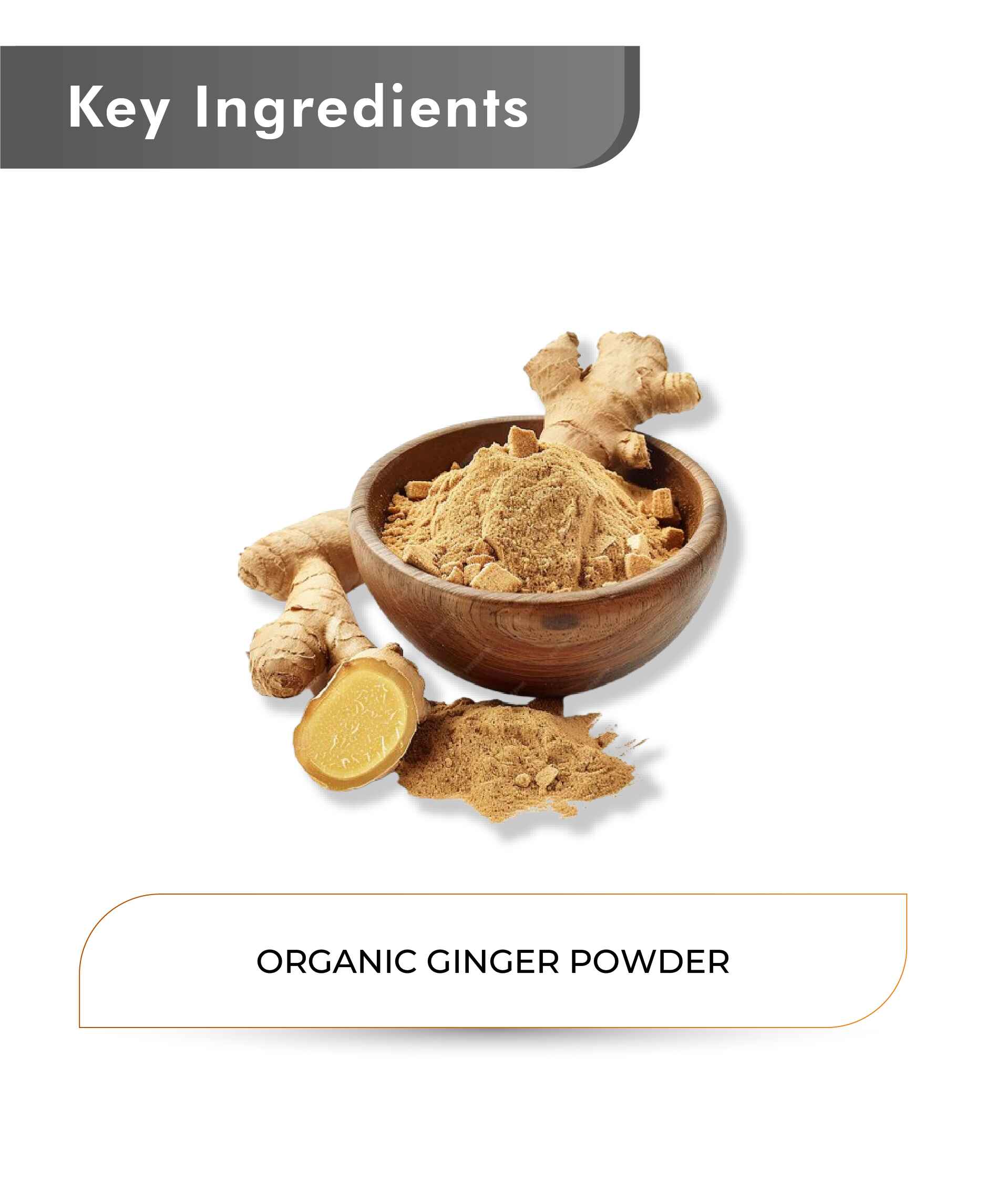 Just Jaivik Organic Ginger Powder - 100gm - HNW GLOBAL