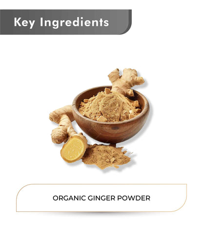 Just Jaivik Organic Ginger Powder - 100gm - HNW GLOBAL