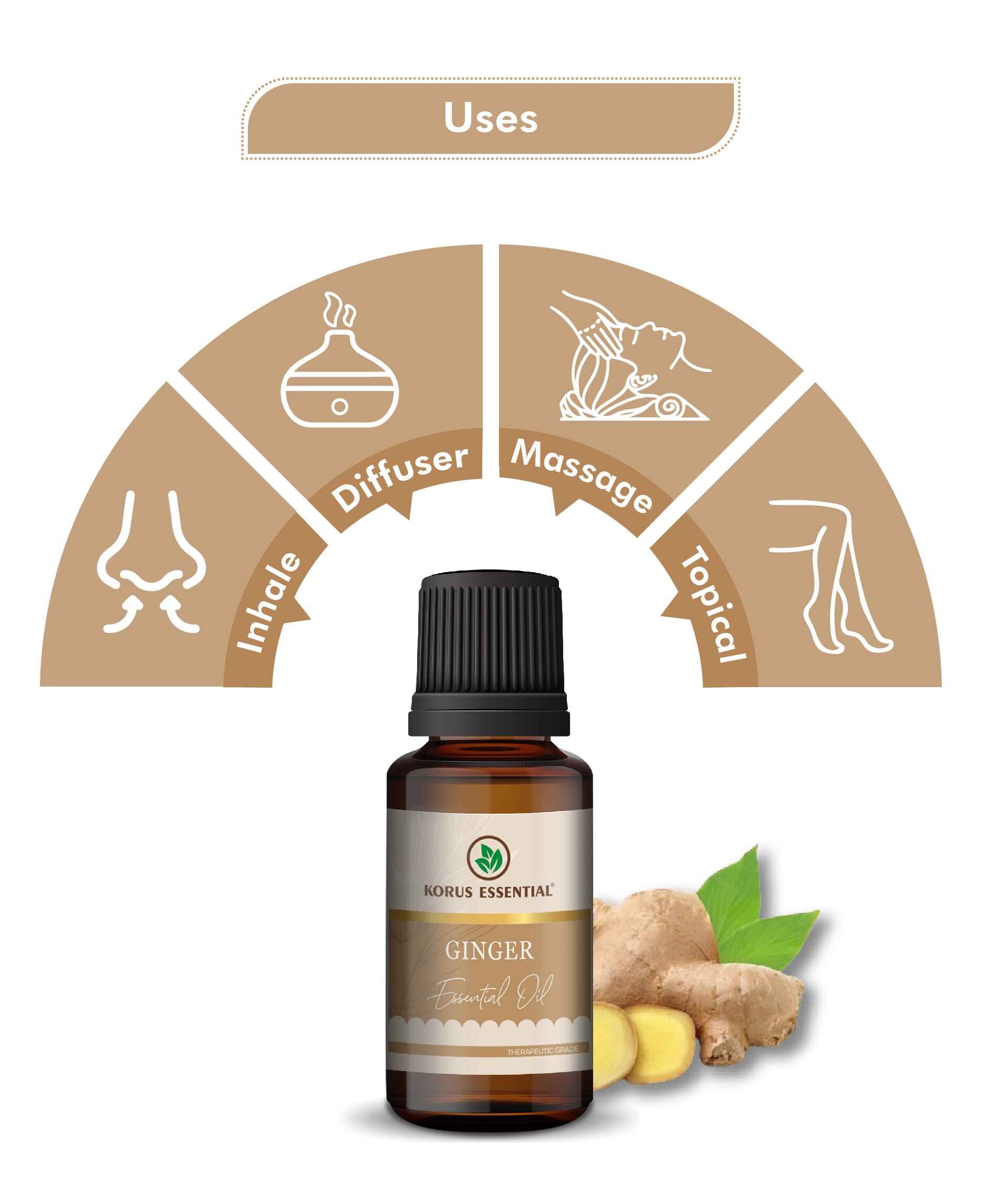 Korus Essential Ginger Essential Oil - 15ml - HNW GLOBAL