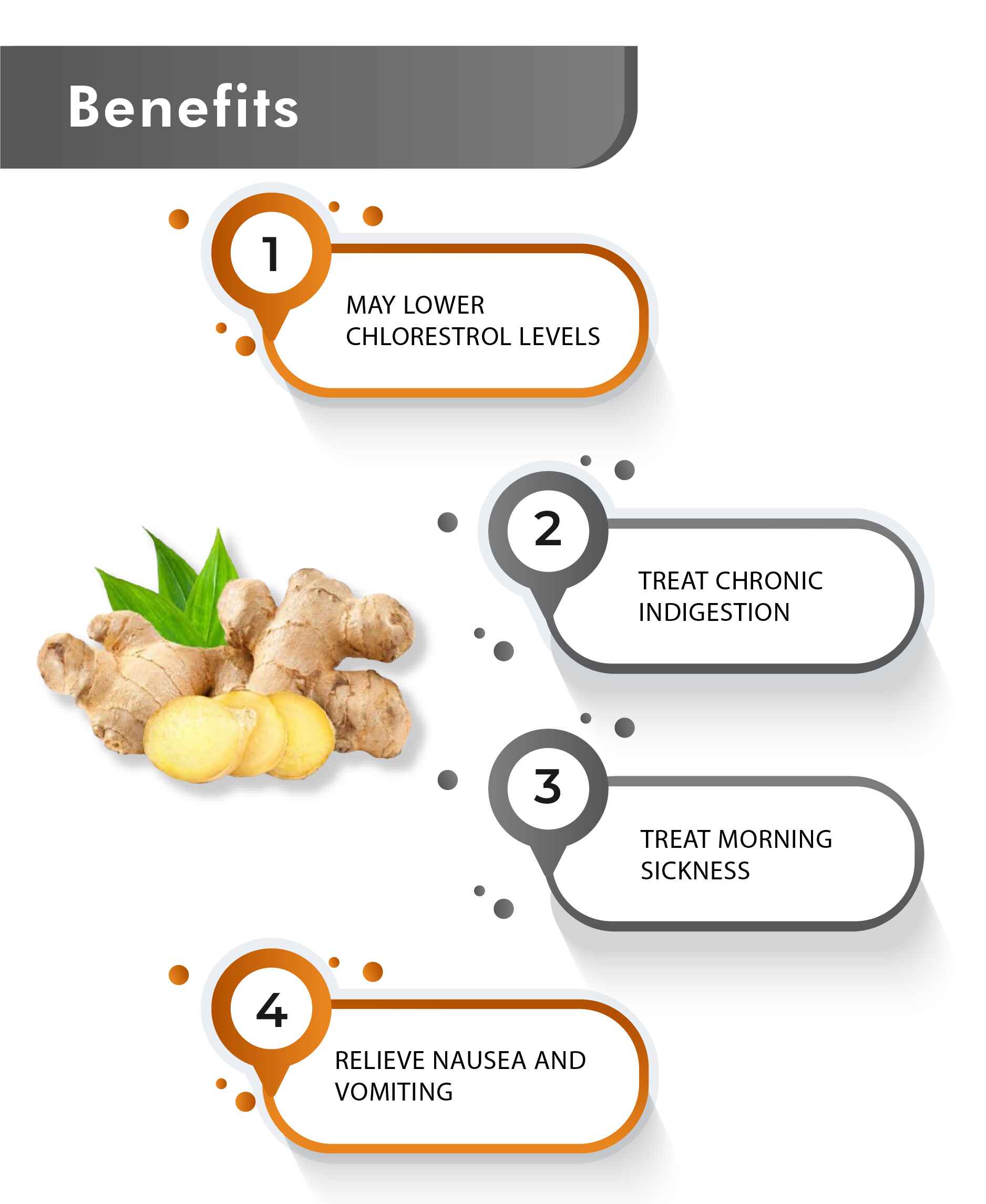 Just Jaivik Organic Ginger Tablets - 600mg, 60 Tablets - HNW GLOBAL