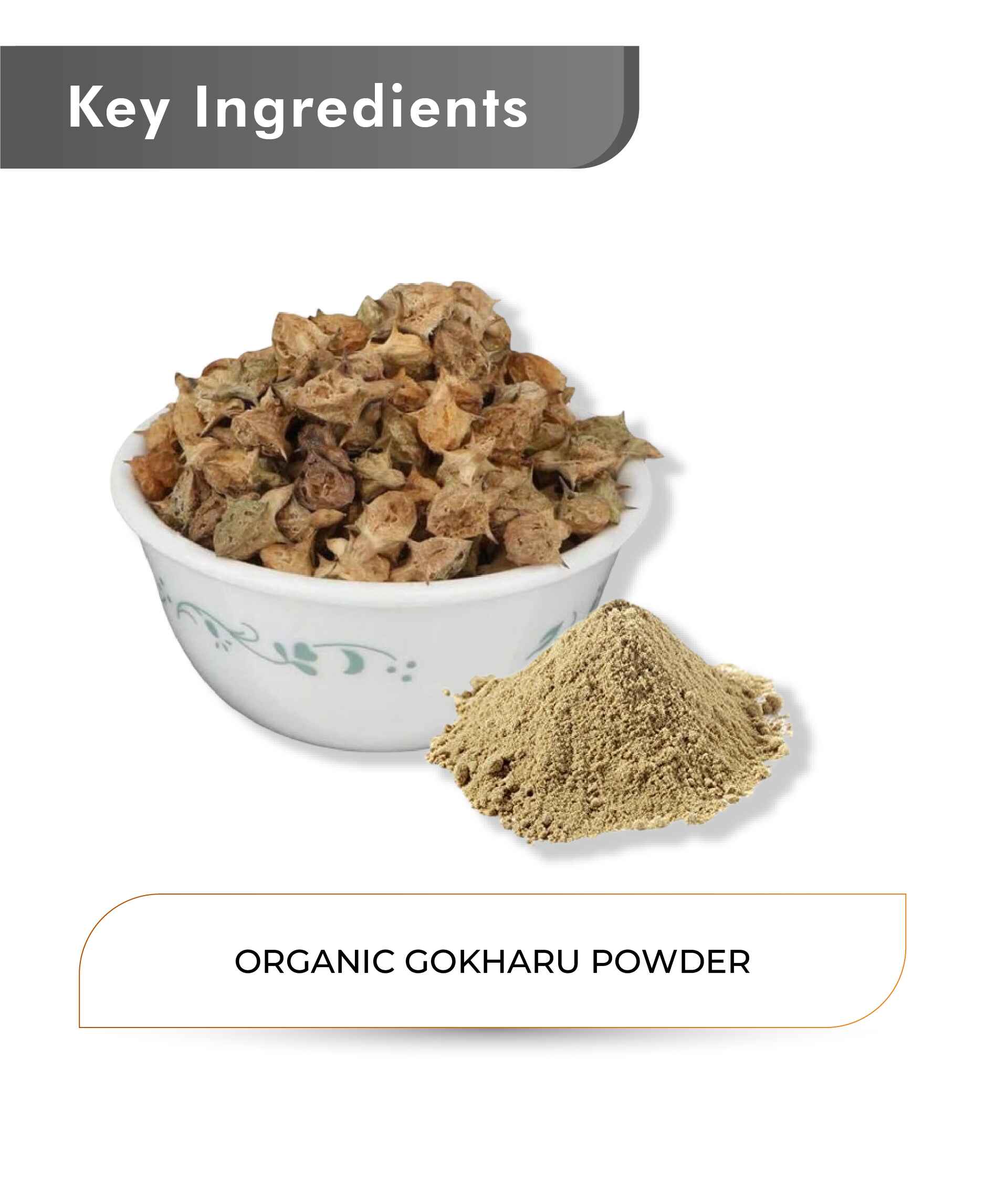 Just Jaivik Organic Gokharu Powder - 100gm - HNW GLOBAL