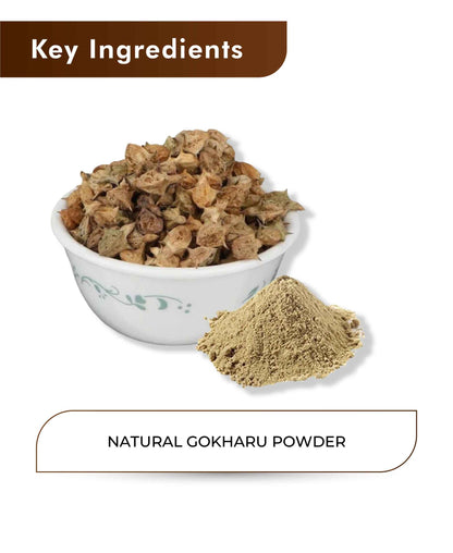 H&C Natural Gokshura/ Gokharu Powder - 100gm - HNW GLOBAL