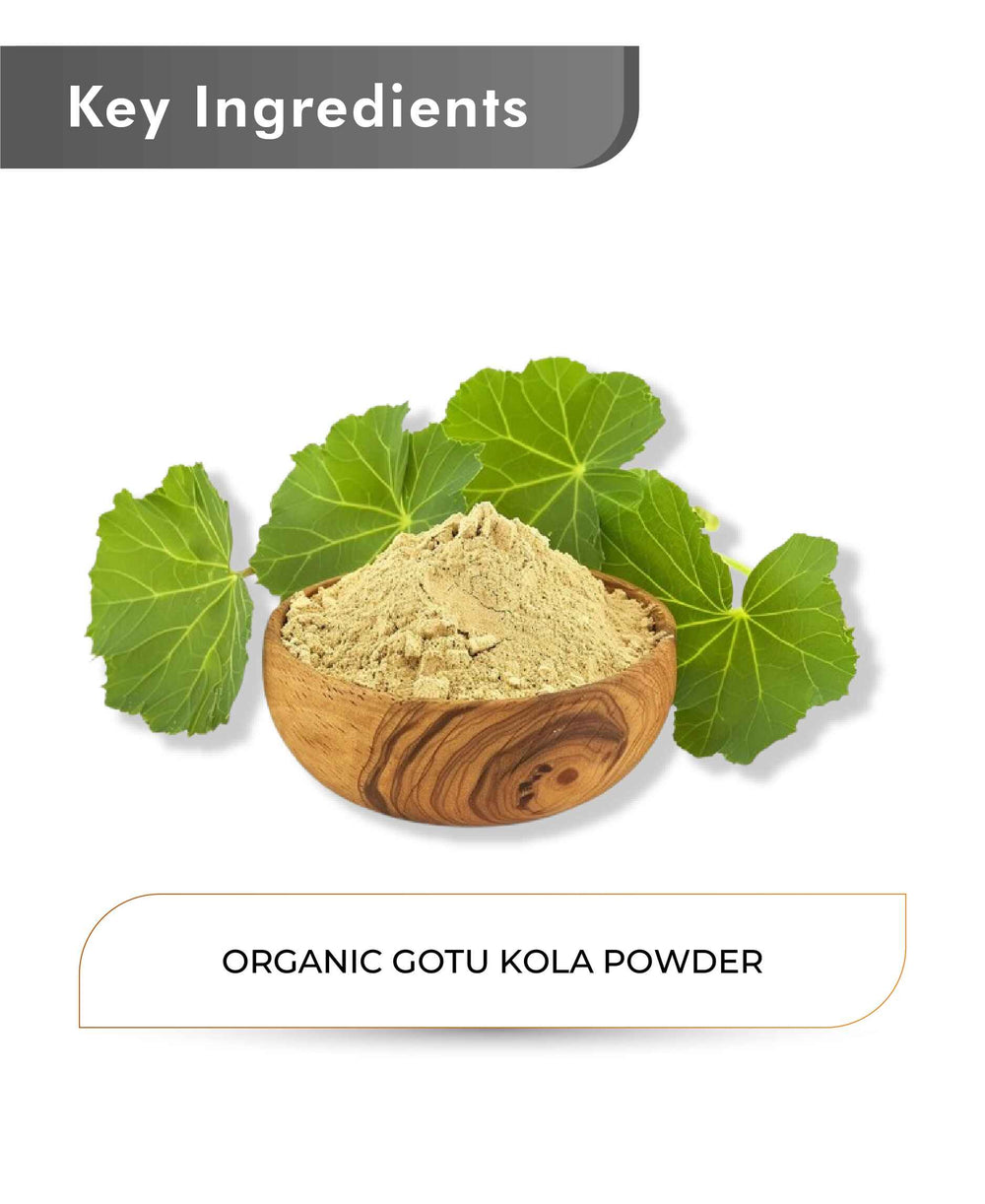 Just Jaivik Organic Gotu Kola Powder - 100gm - HNW GLOBAL