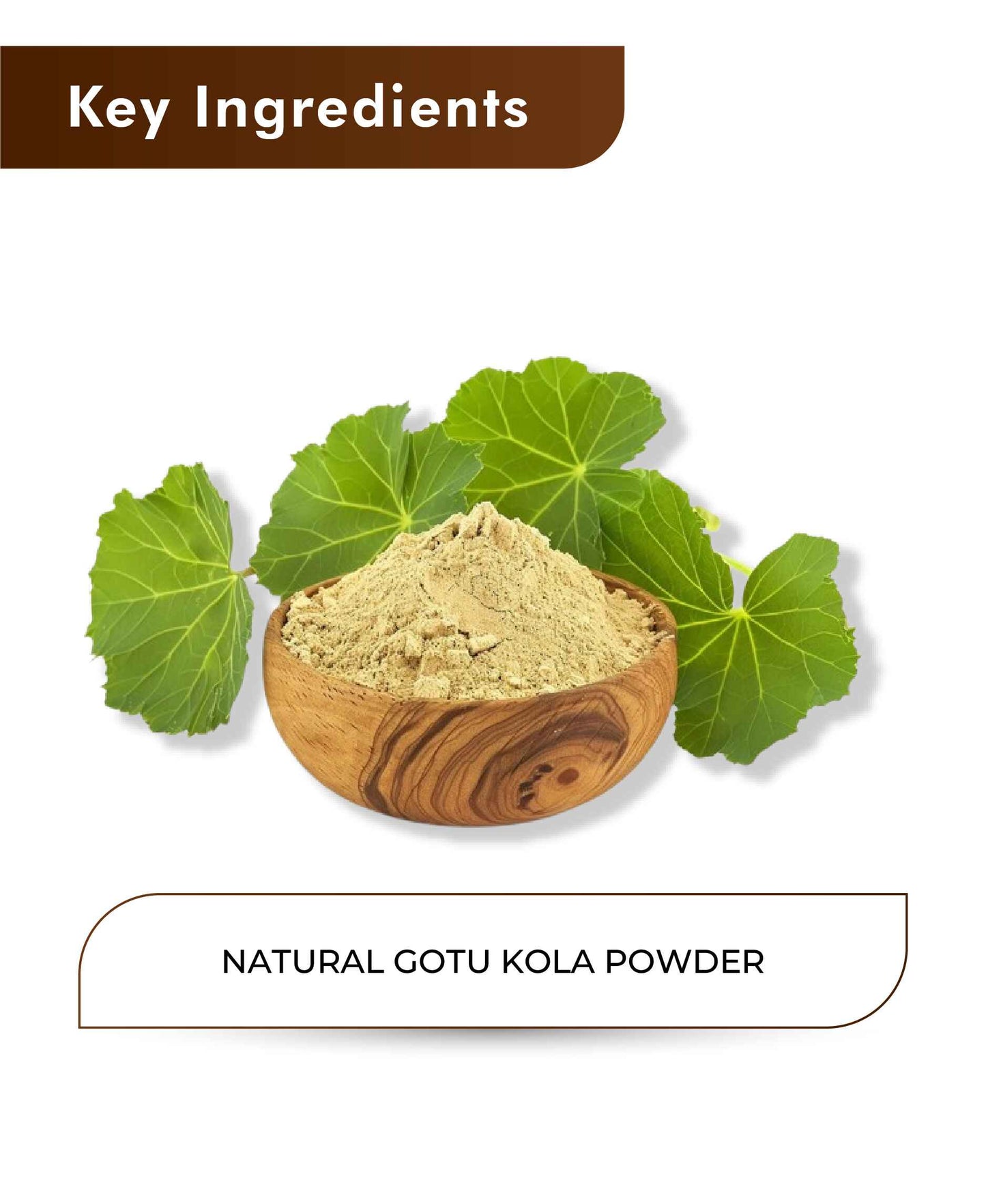 H&C Natural Gotu Kola Powder / Centella Asiatica - 100gm - HNW GLOBAL