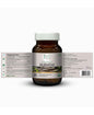 Just Jaivik Organic Guduchi / Giloy Tablets - 600mg, 60 Tablets - HNW GLOBAL