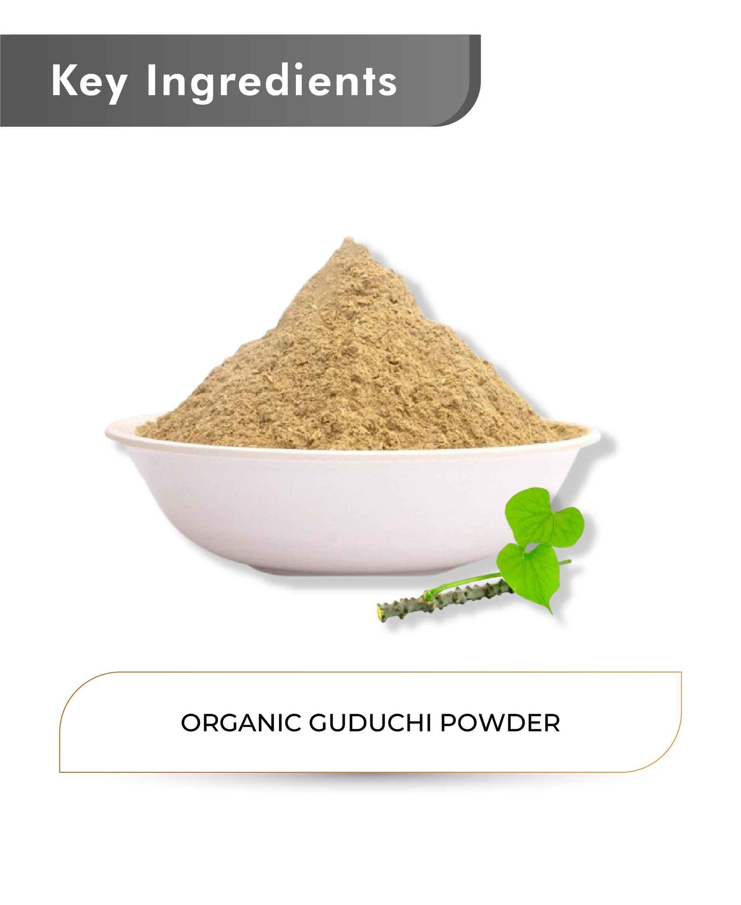 Just Jaivik Organic Guduchi / Giloy Powder - 100gm - HNW GLOBAL
