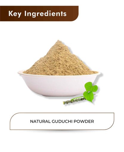 H&C Natural Guduchi Powder (Giloy) - 100gm - HNW GLOBAL