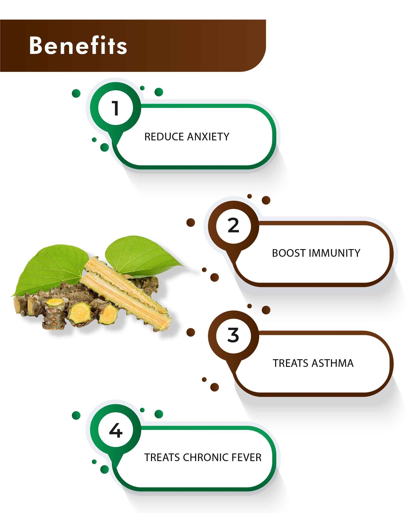 H&C Natural Guduchi Powder (Giloy) - 100gm - HNW GLOBAL