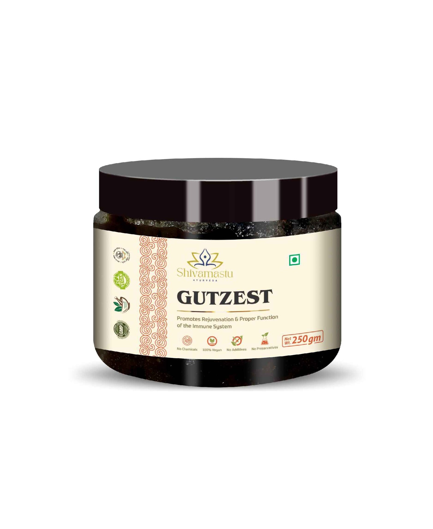 Shivamastu GUTZEST- Chyawanprash 250g (0.55 lb) – Ayurvedic Herbal Jam with 52 Ayurvedic Herbs By Shivamastu - HNW GLOBAL
