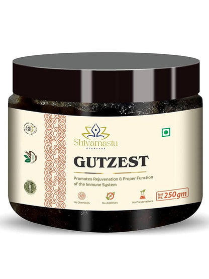 GUTZEST- Chyawanprash 250g (0.55 lb) – Ayurvedic Herbal Jam with 52 Ayurvedic Herbs By Shivamastu