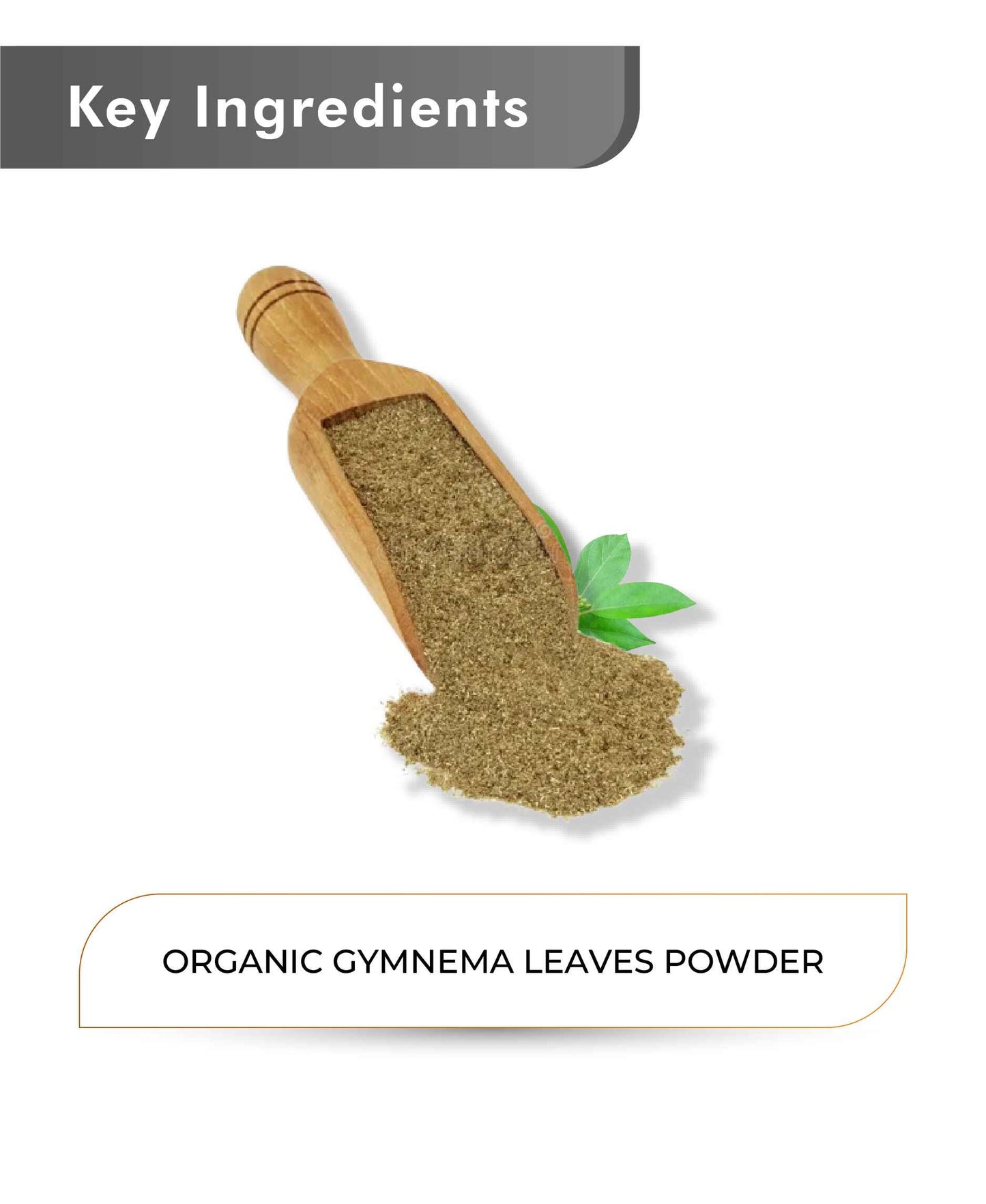 Just Jaivik Organic Gymnema Powder - 100gm - HNW GLOBAL