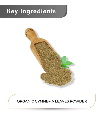 Just Jaivik Organic Gymnema Powder - 100gm - HNW GLOBAL