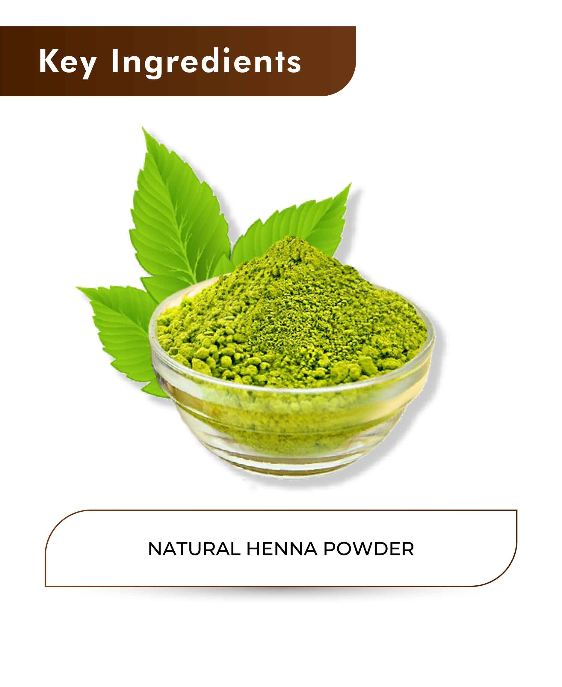 H&C Natural Henna Powder / Lawsonia Inermis - 100gm - HNW GLOBAL