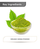 Just Jaivik Organic Henna Powder - 100gm - HNW GLOBAL