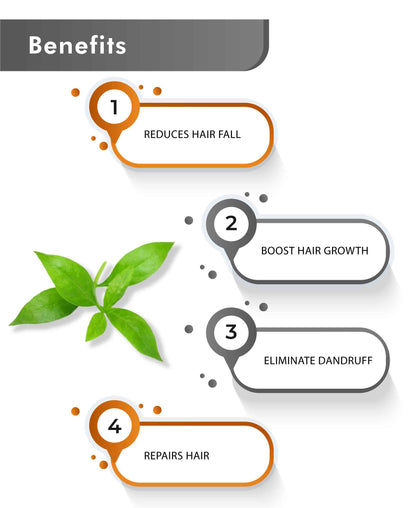 Just Jaivik Organic Henna Powder - 100gm