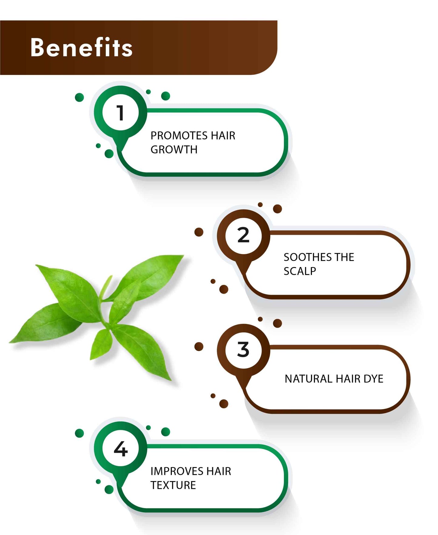 H&C Natural Henna Powder / Lawsonia Inermis - 100gm - HNW GLOBAL