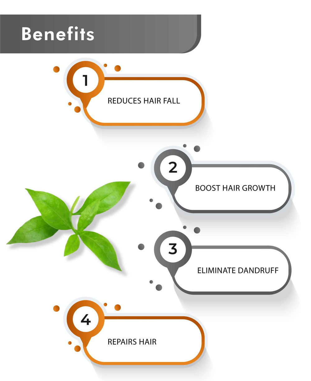 Just Jaivik Organic Henna Powder - 100gm - HNW GLOBAL
