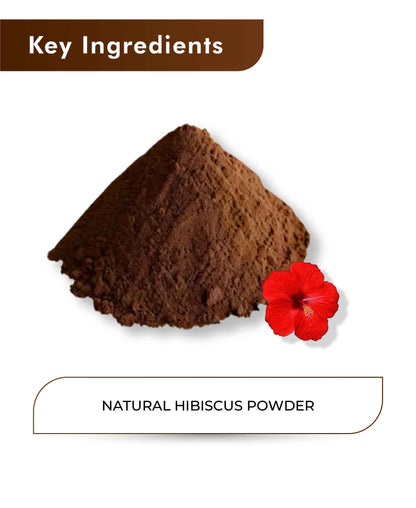 H&C Natural Hibiscus Powder - Rosa Sinensis - 100gm - HNW GLOBAL