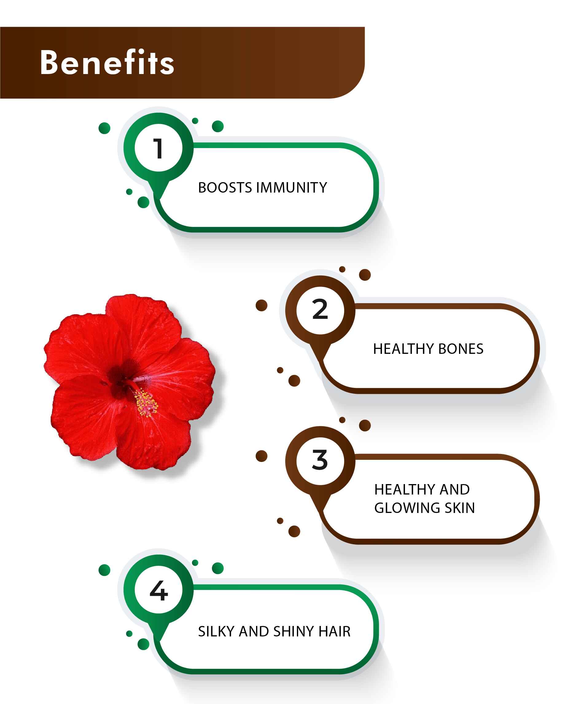 H&C Hibiscus Tablet - 350mg , 60 Count - HNW GLOBAL