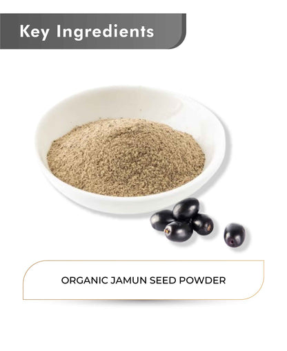 Just Jaivik Organic Jamun Seed Powder - 100gm - HNW GLOBAL